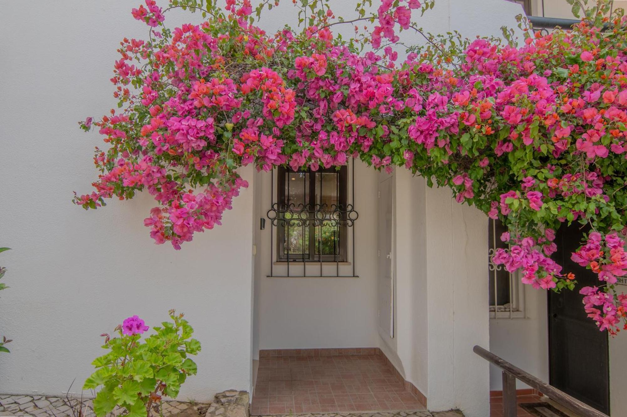 Coastal Retreat With Pool And Access By Drago * Albufeira